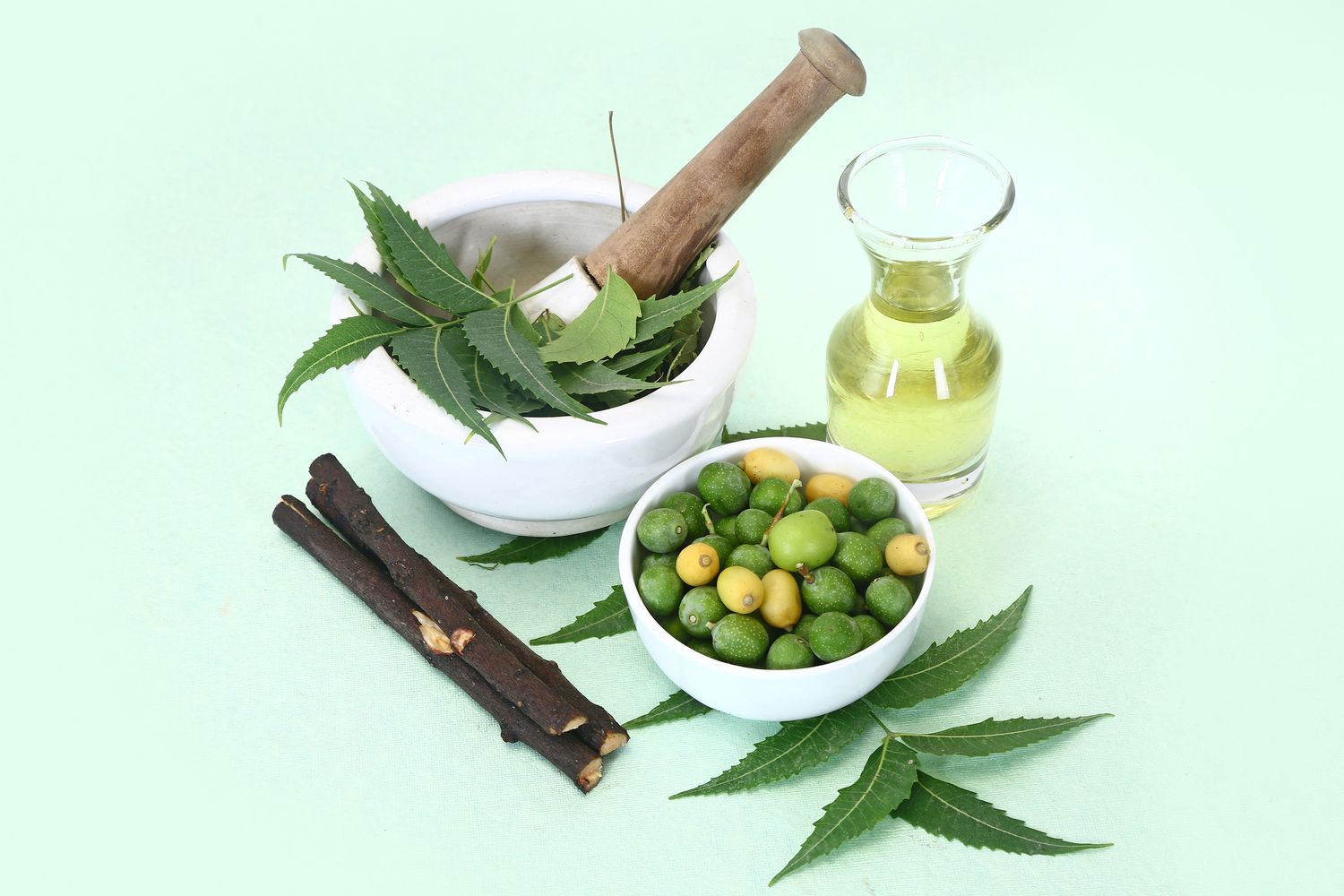 What Are Neem Oils?