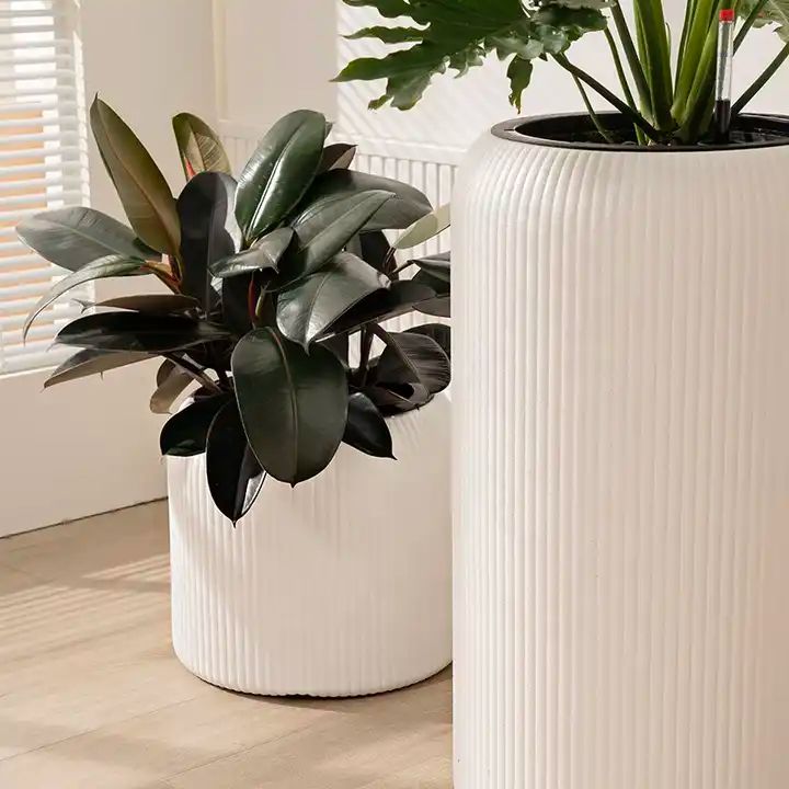 SB 1019 - Segol