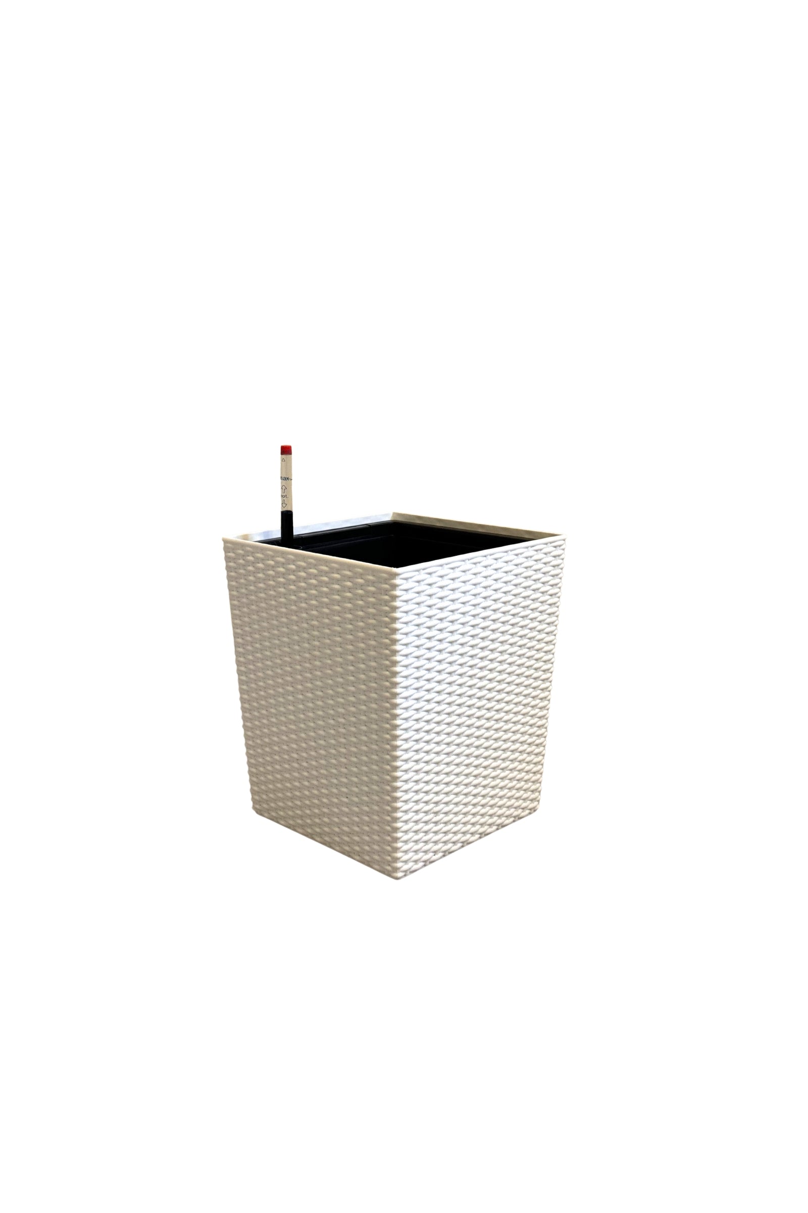 WR 1018 - Segol