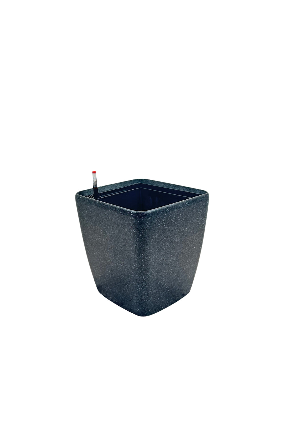 SB 1013 - Segol