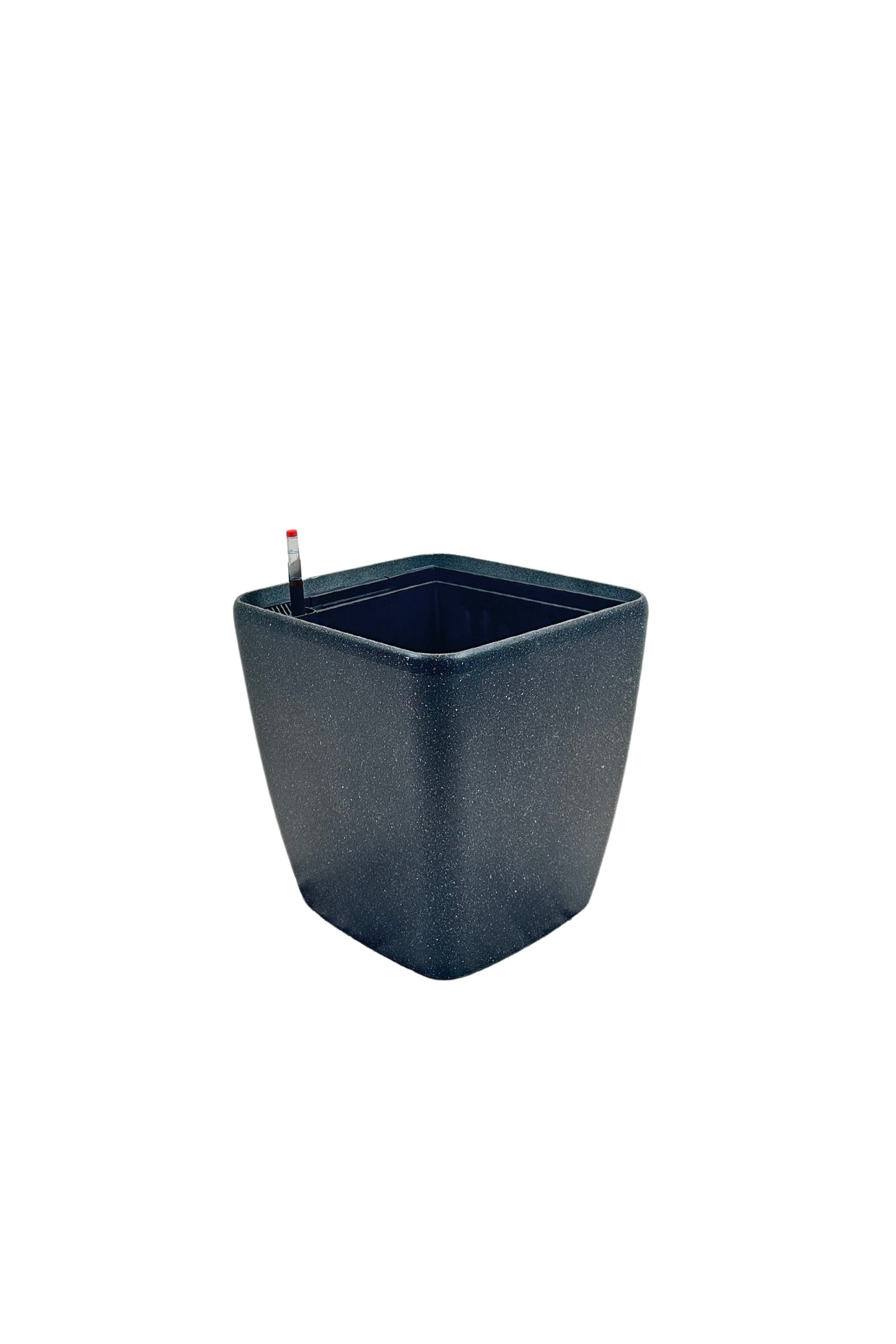 SB 1013 - Segol