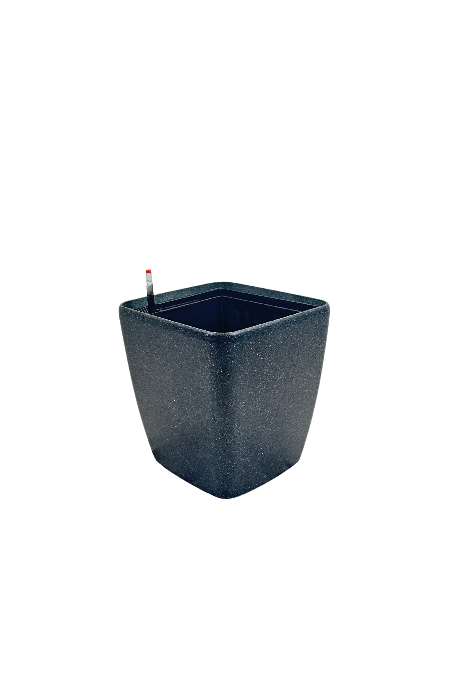 SB 1013 - Segol