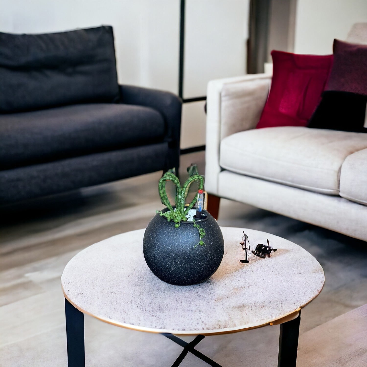 Sansevieria, Hearts-SB 1028Xs - Segol