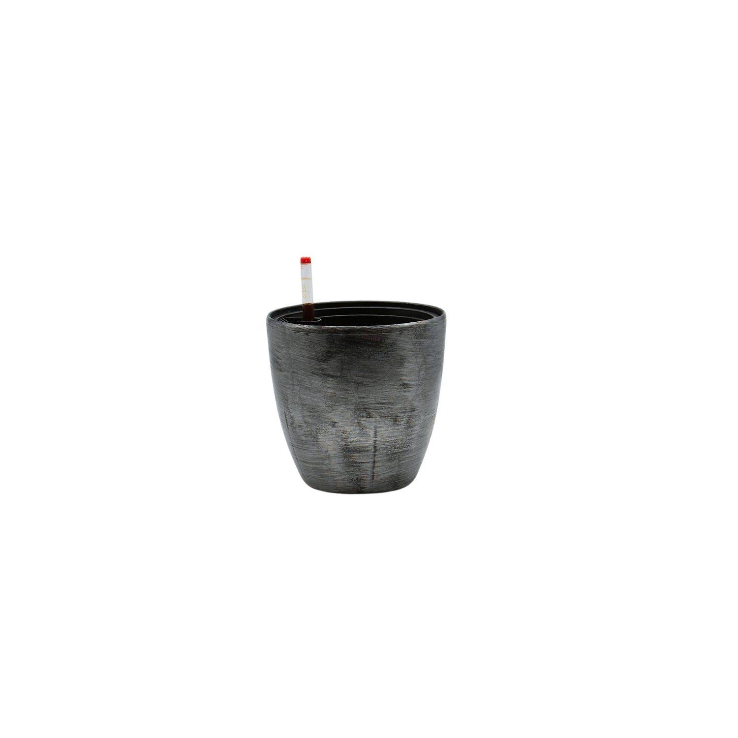 BP 1022 - Segol