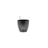 BP 1022 - Segol