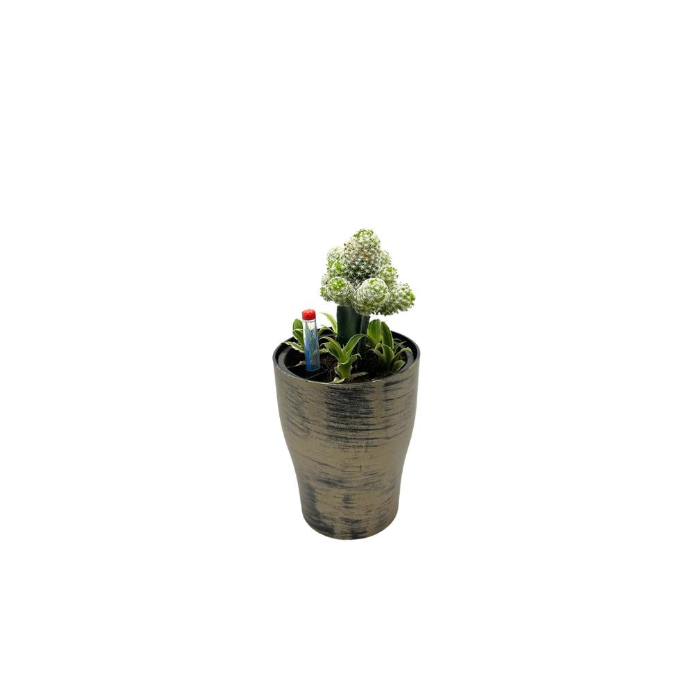 Gold brush-painted self-watering pot with cactus and water meter