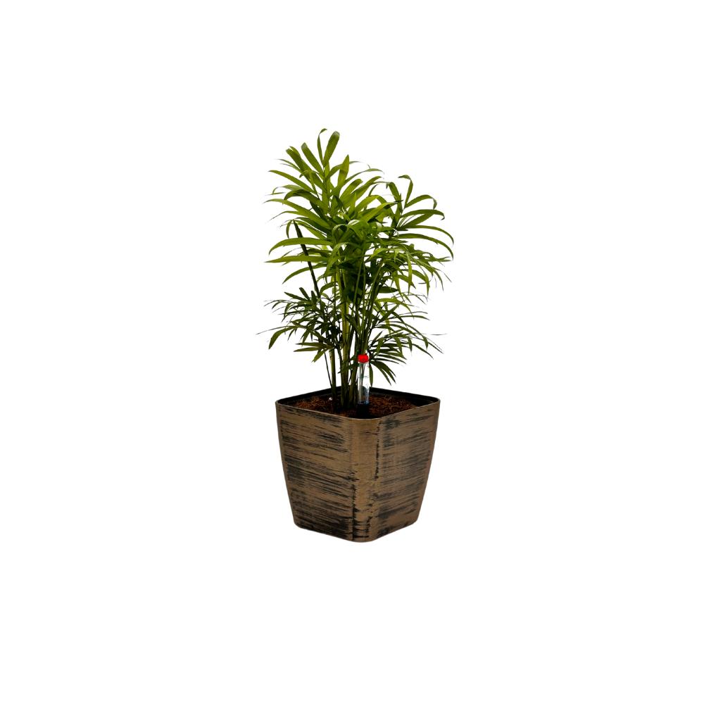 Chic gold brush-painted indoor planter with palm – BP 1012 decorative flower po