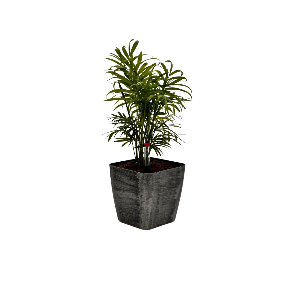 Chic gold brush-painted indoor planter with palm – BP 1012 decorative flower pot
