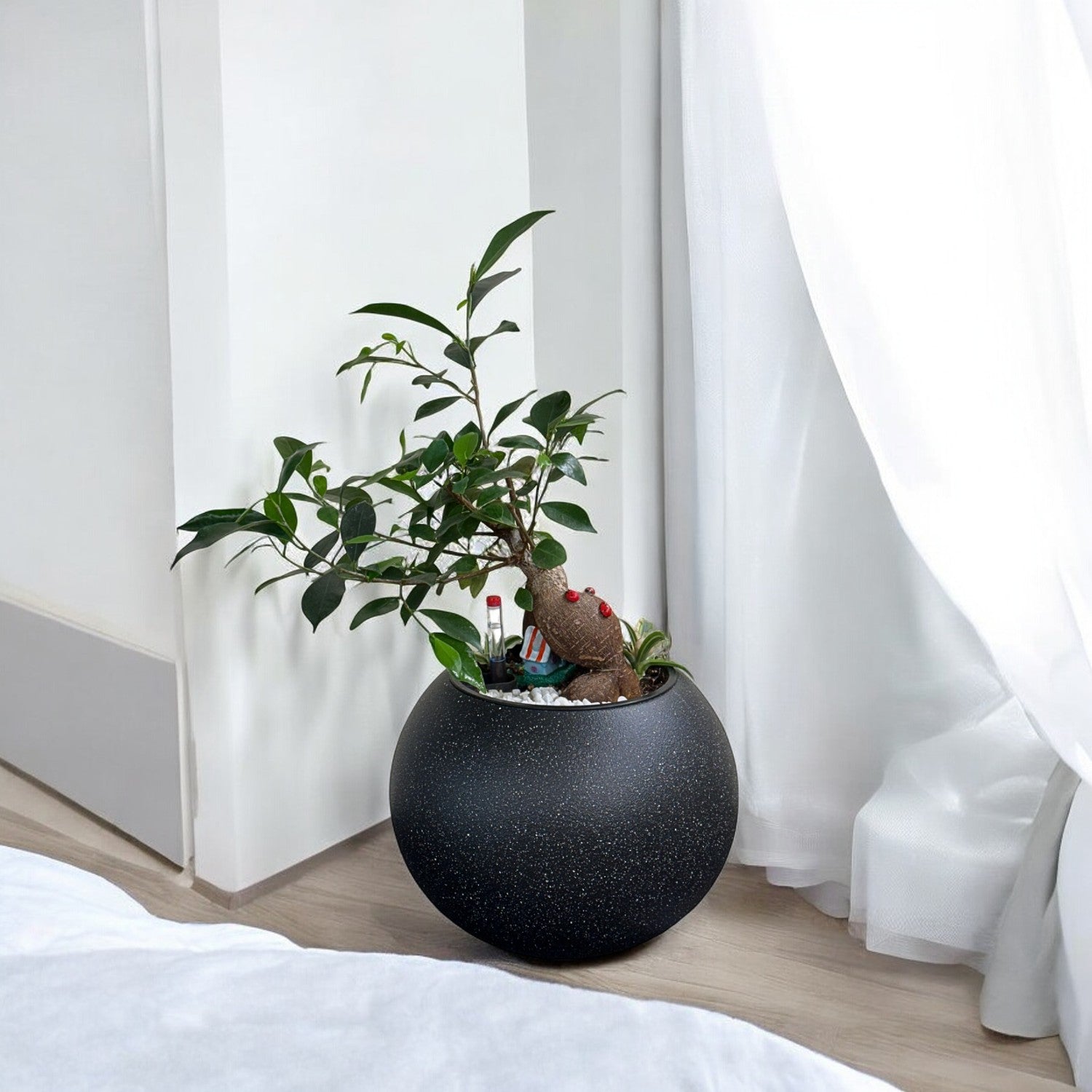 Bonsai-1028M - Segol