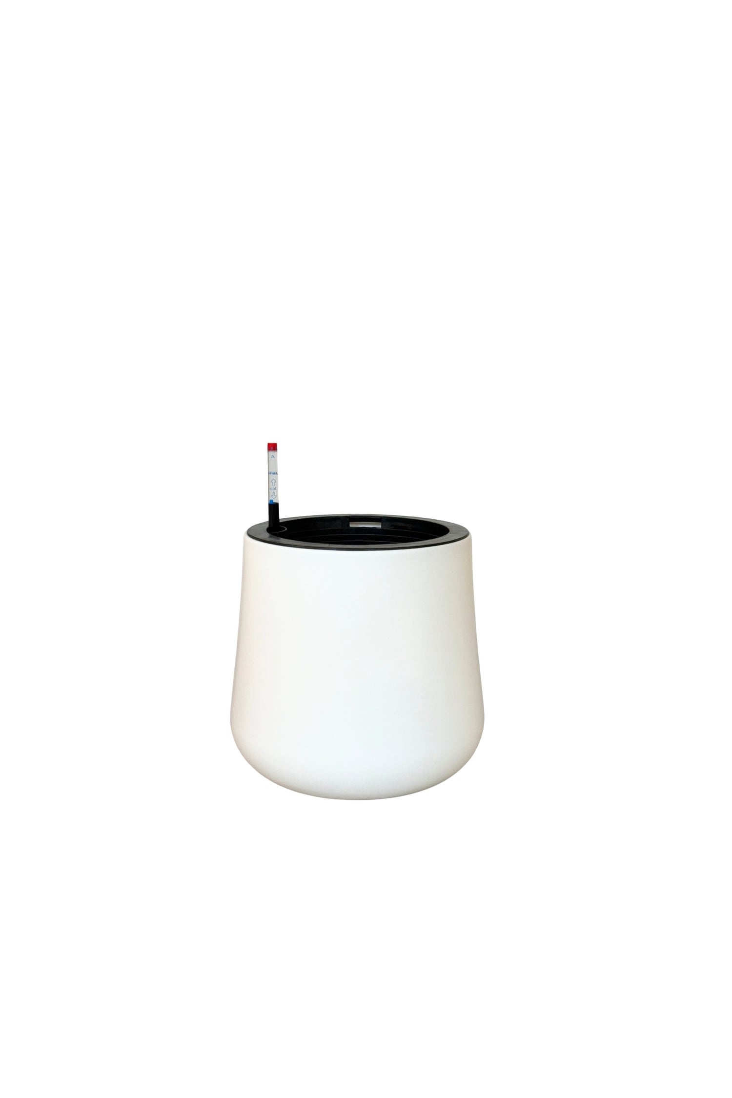 MA 1020 - Segol