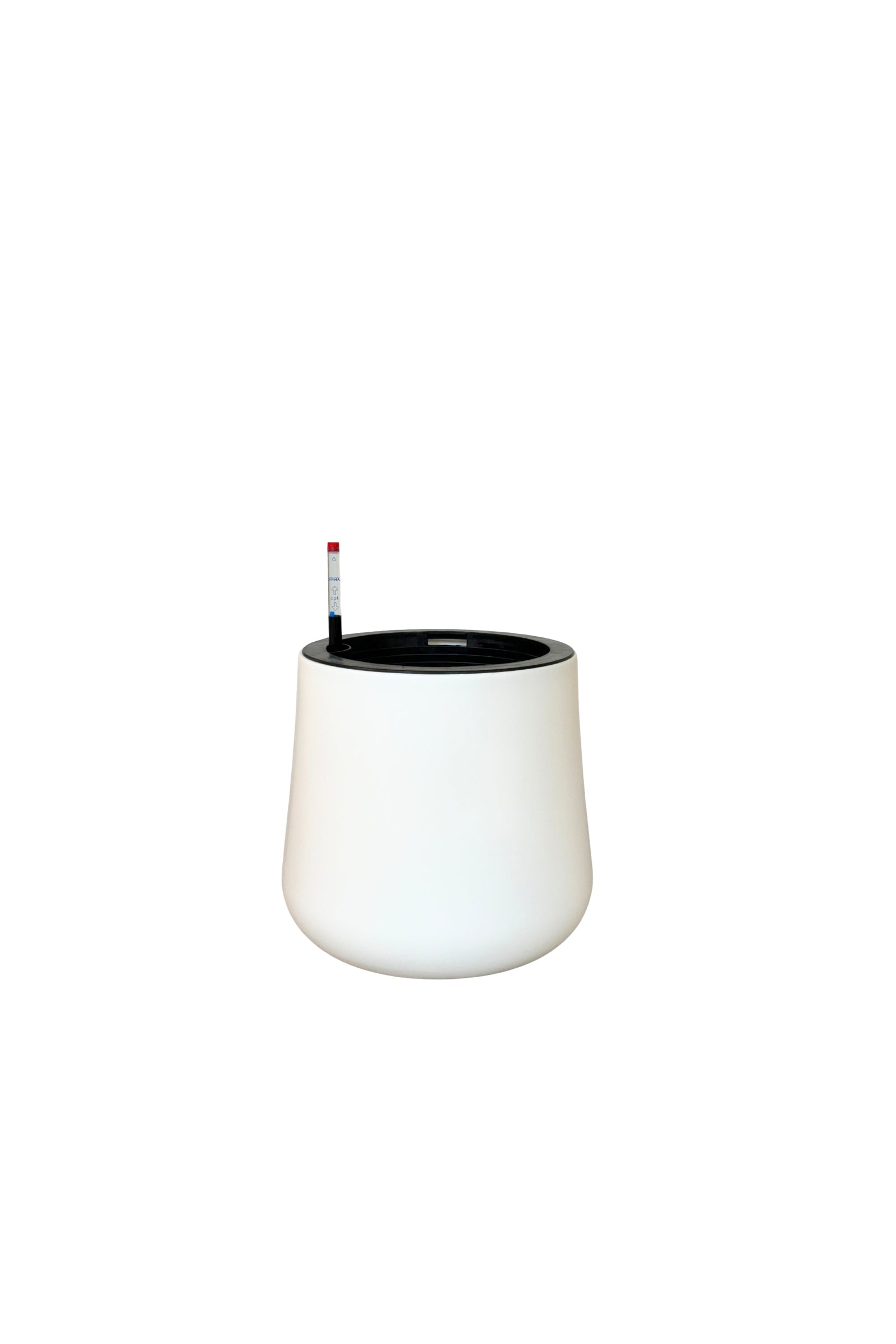 MA 1020 - Segol