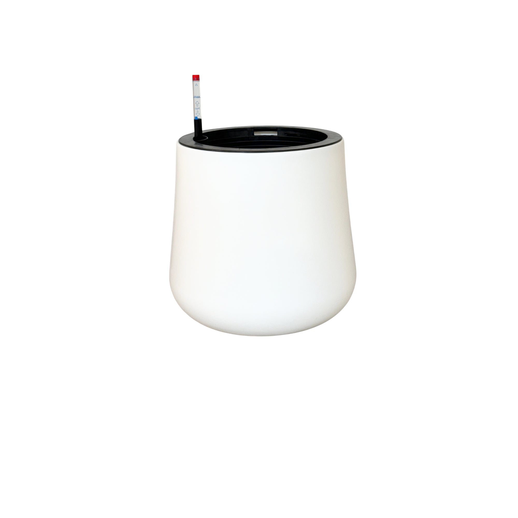 MA 1020 - Segol