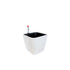 Matte white modern self-watering indoor plant pot with water gauge