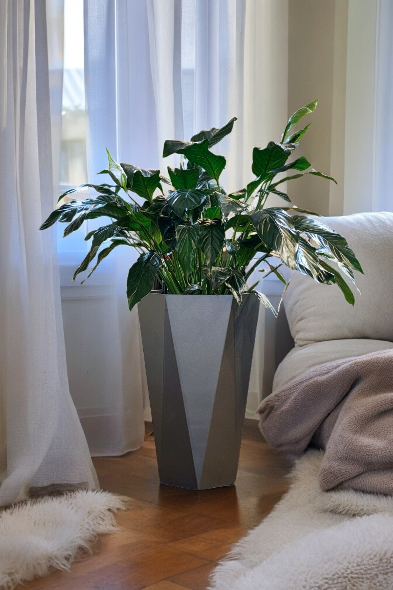 MA 1027 - Segol