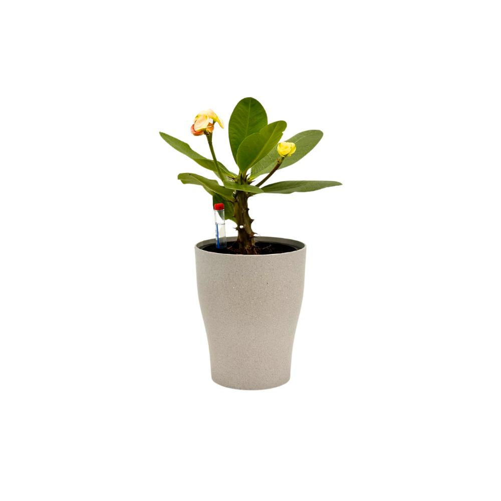 Modern white textured self-watering planter with flowering indoor plant and water gauge.
