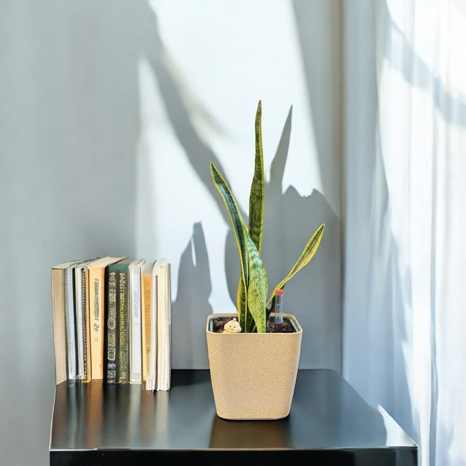 Gold SB1012 flower pot with snake plant, self-watering setup