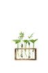 Wood Frame Transparent Glass Vase - Segol