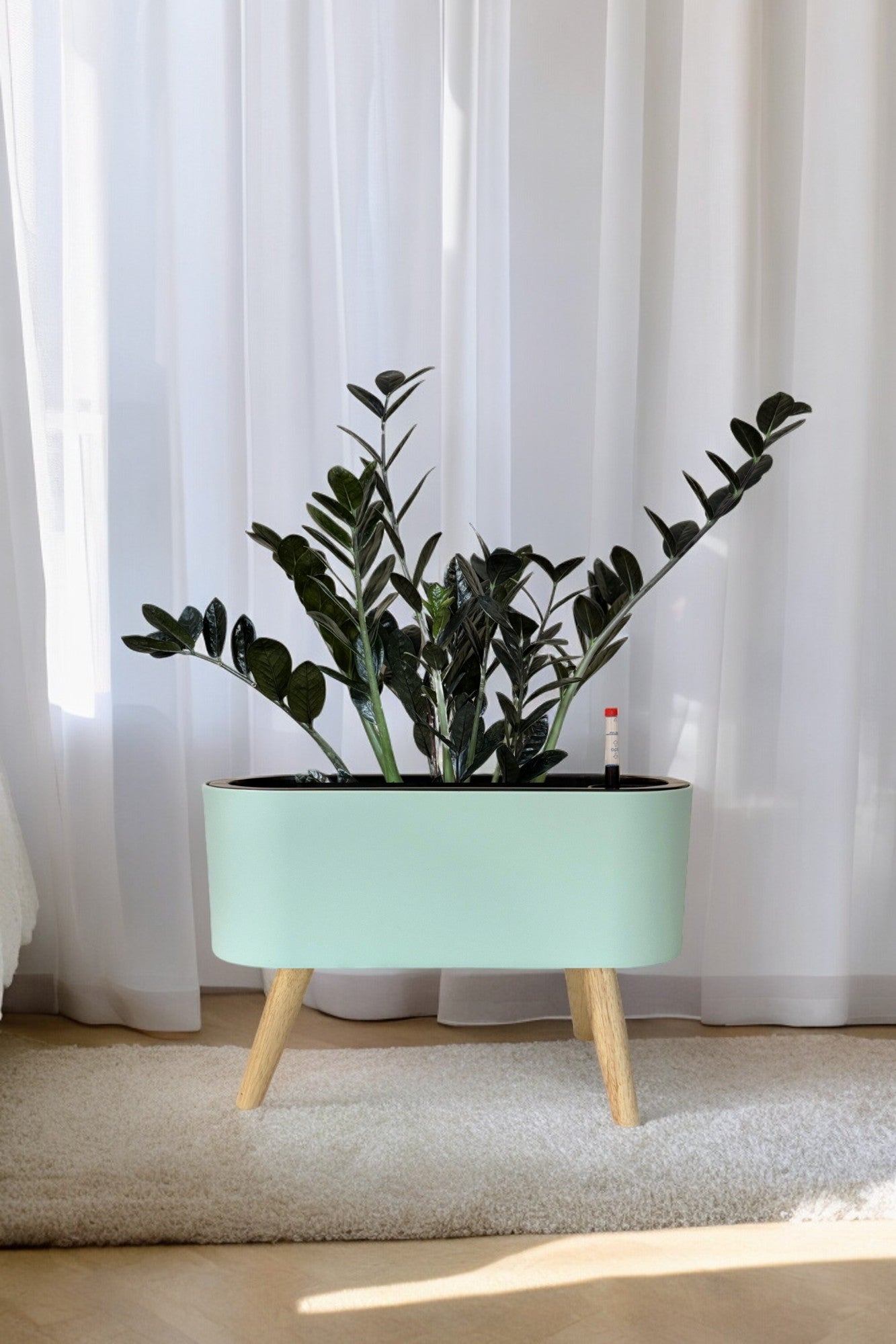 MA 1029 - Segol