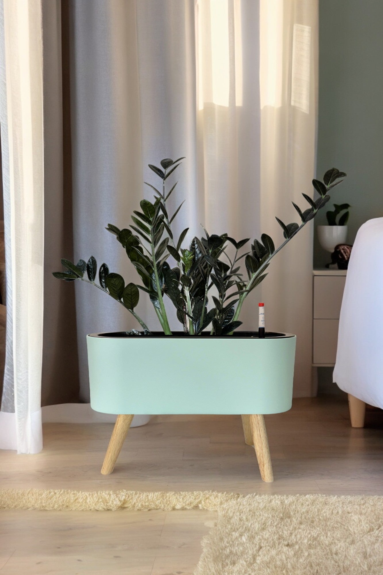 MA 1029 - Segol