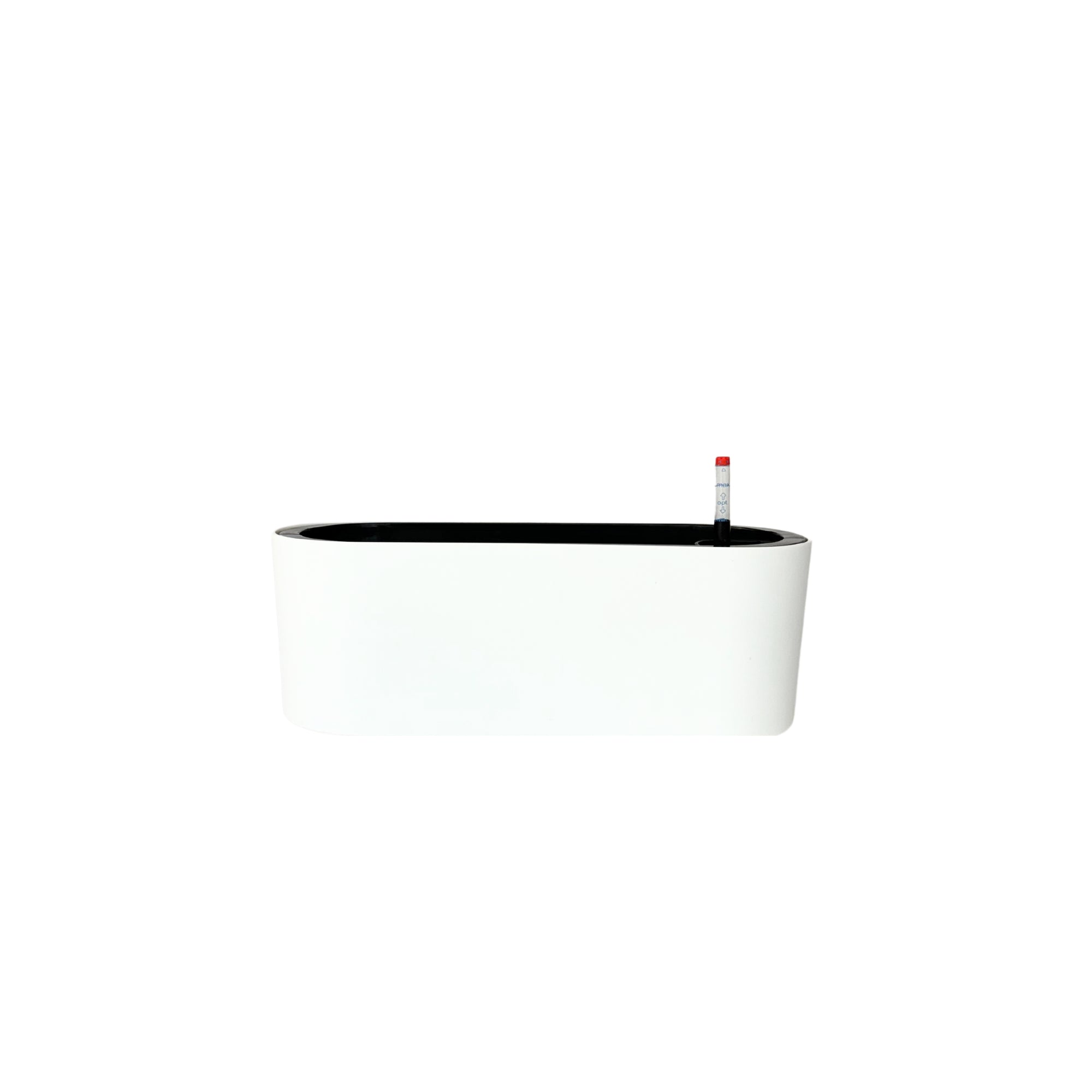 MA 1029 - Segol