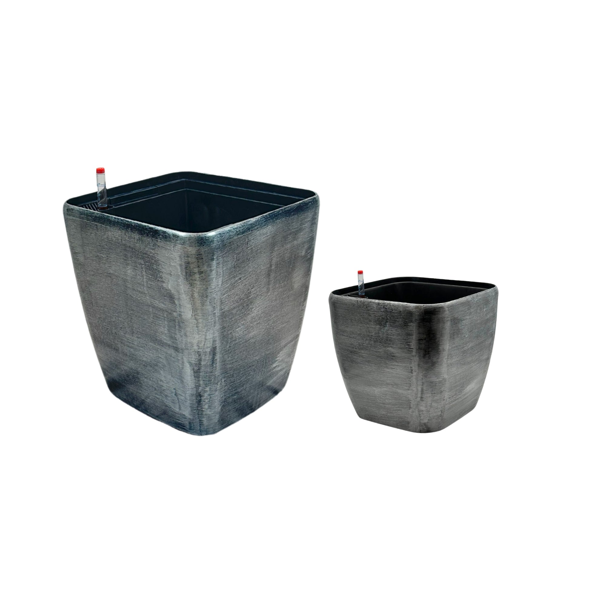 BP 1013 - Segol