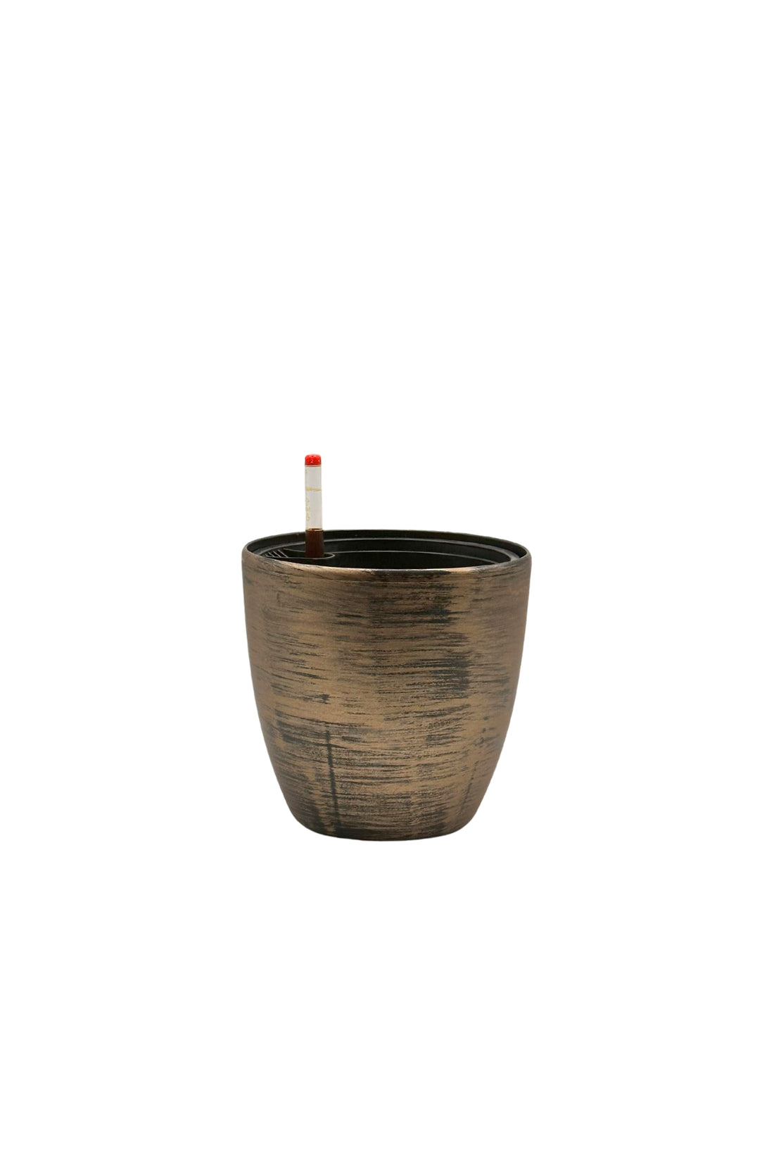 BP 1022 - Segol