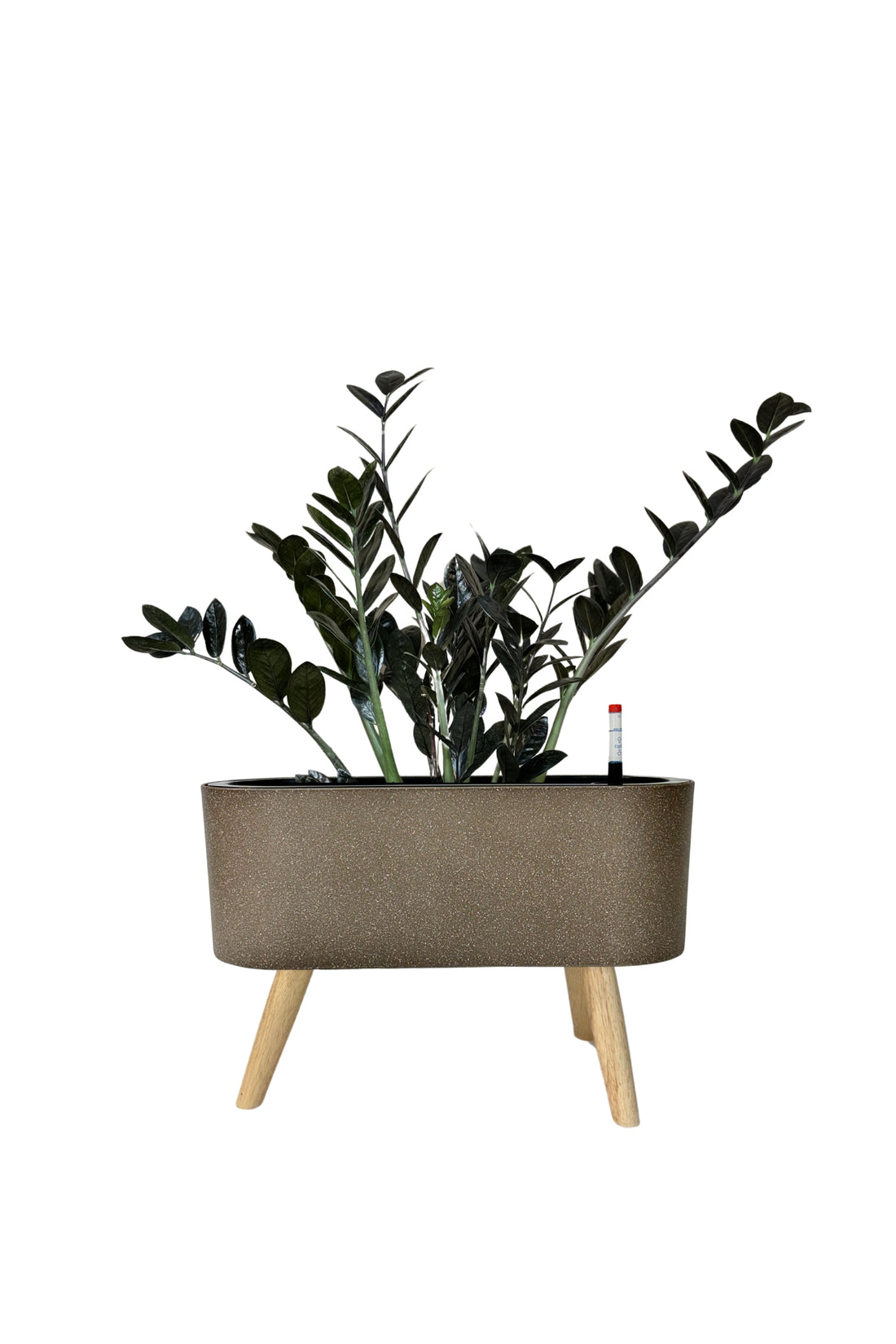 SB 1029 - Segol