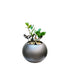 ZZ-GL 1028M - Segol