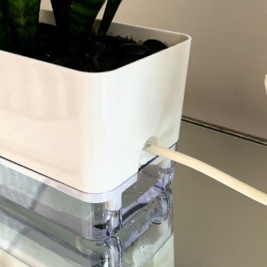 🍃How to Water Your Transparent Self-Watering Pots🍃