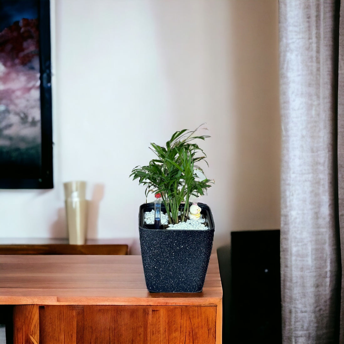 Palm, Parlour-SB 1012 - Segol