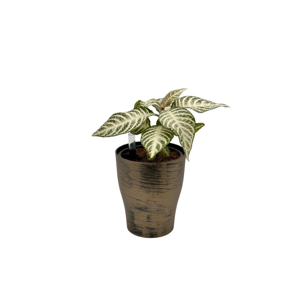 Self-watering indoor gold plant pot with stylish brush finish and water indicator
