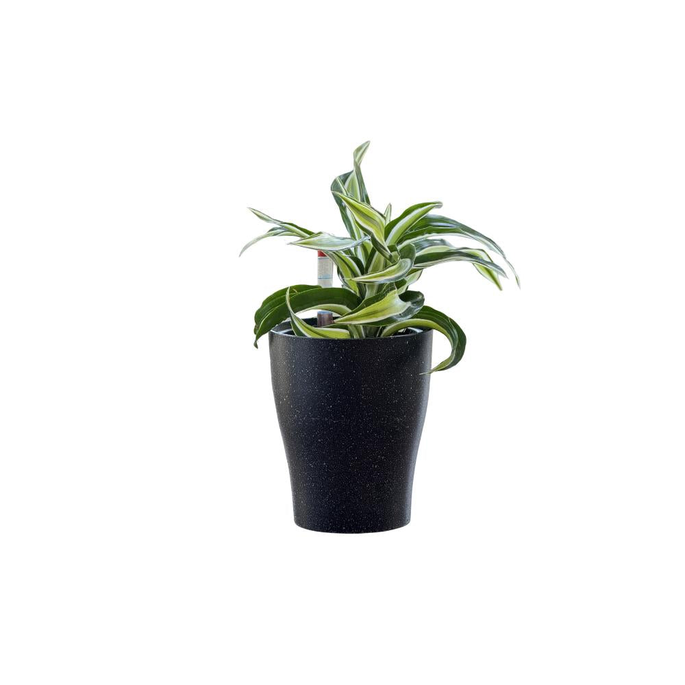 Elegant black self-watering indoor planter with plant and water indicator.