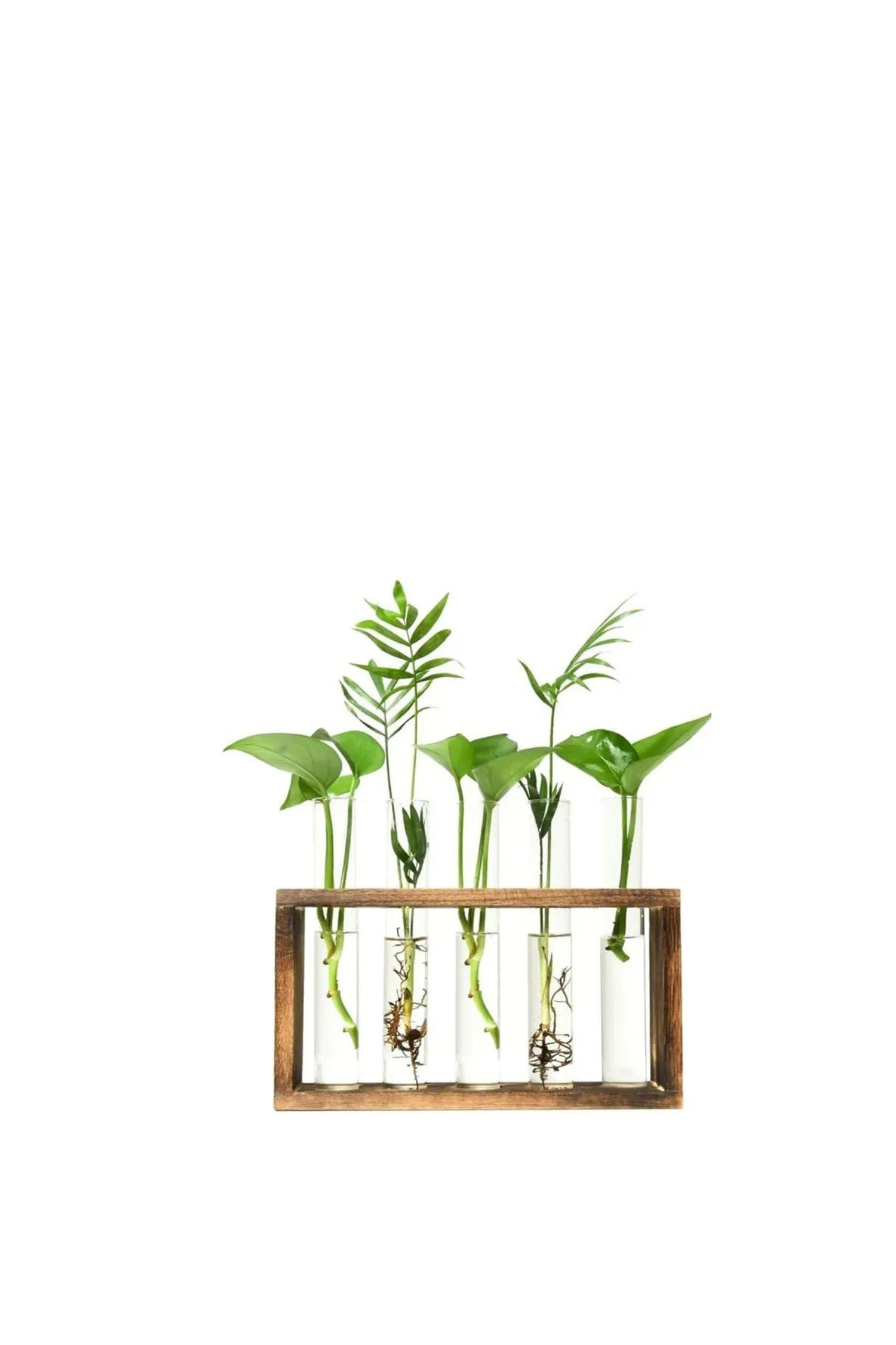 Wood Frame Transparent Glass Vase